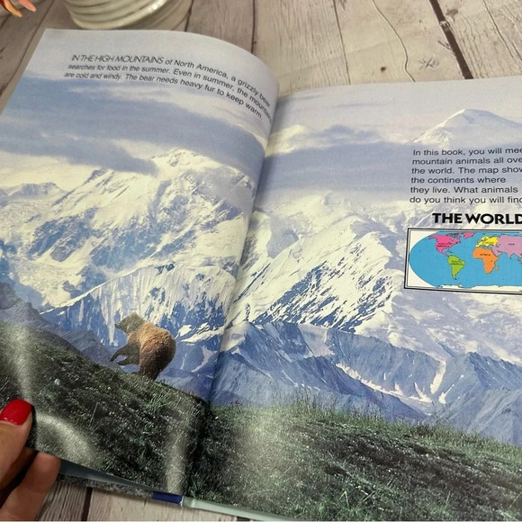 vintage animals of the high mountains national geographic book 1989 - Picture 4 of 8